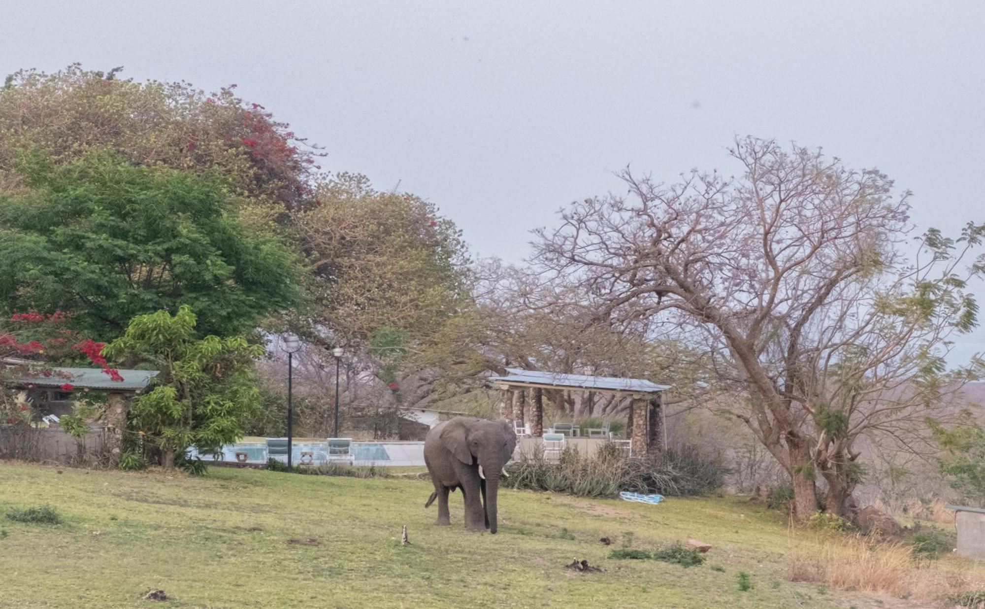 Musungwa Safari Lodge Shanjungu Luaran gambar