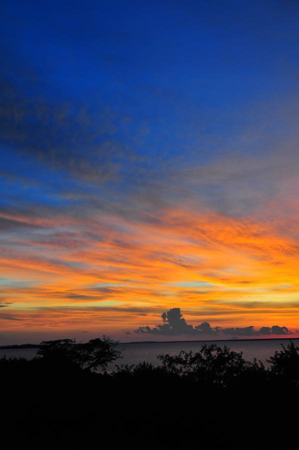Musungwa Safari Lodge Shanjungu Luaran gambar